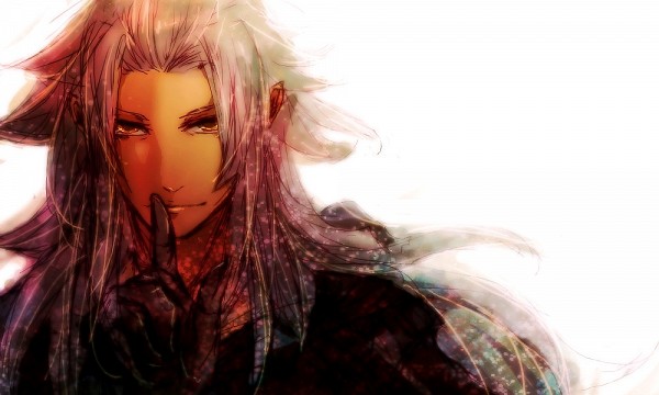 Artwork, The world in the picture ~ Xemnas10