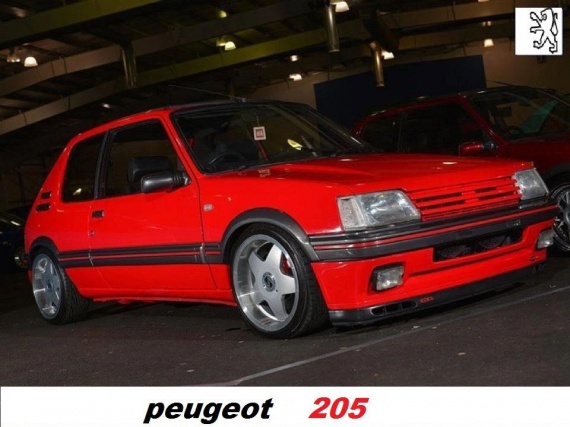 Peugeot - Page 8 205-im11