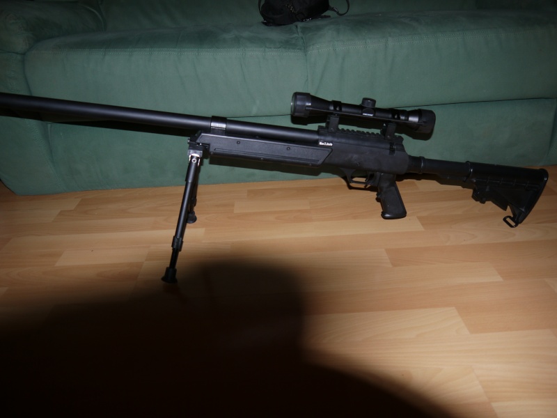Urban Sniper/APS SR2/MB06 P1010111