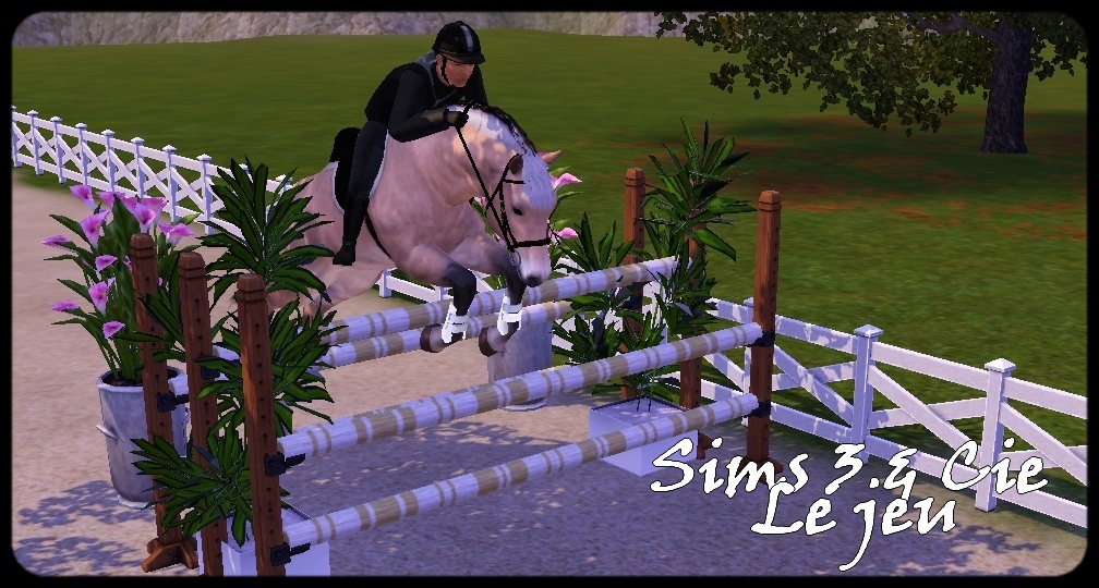 Sims 3 Animaux & Cie : Le jeu