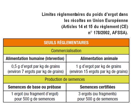 ergot - L'ergot des céréales Ergot_10