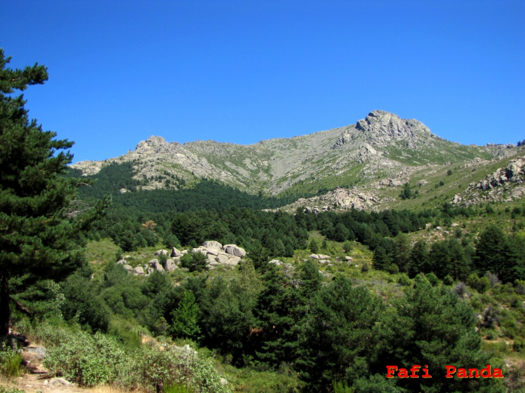 20200815 - CUERDA DE LAS BUITRERAS - MALICIOSA 00146