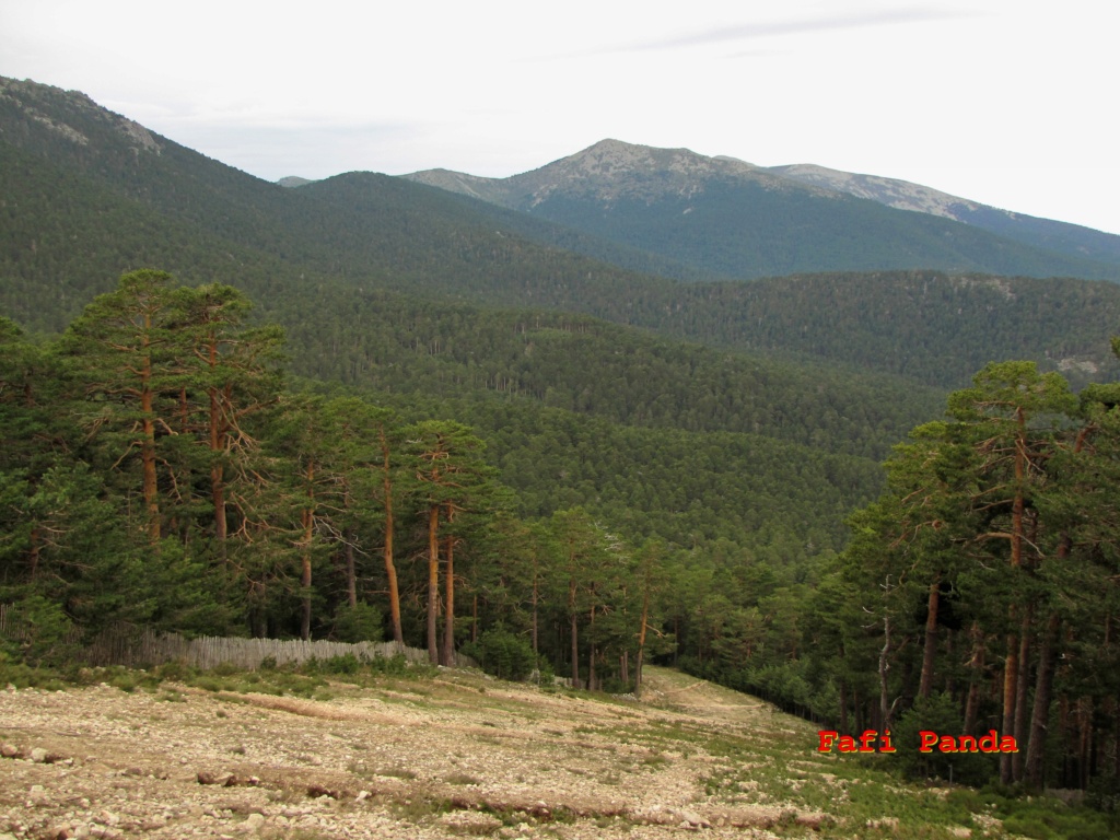 20220514 - PUERTO DE NAVACERRADA - CERCEDILLA 00270