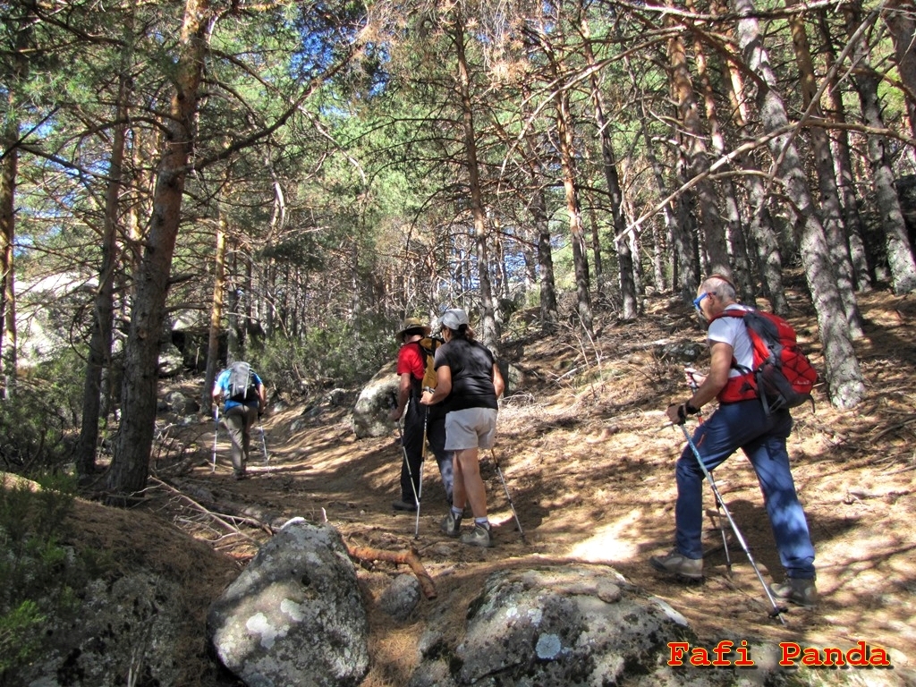 20190811 - PASEO POR LA PEDRIZA 00641