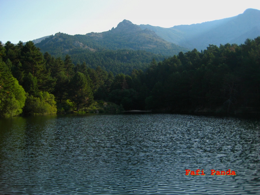 20220714 - LA BARRANCA - Las Buitreras 00786