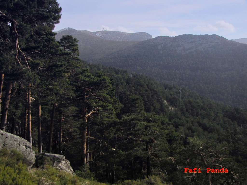 20220212 - PUERTO DE NAVACERRADA - CERCEDILLA 00865