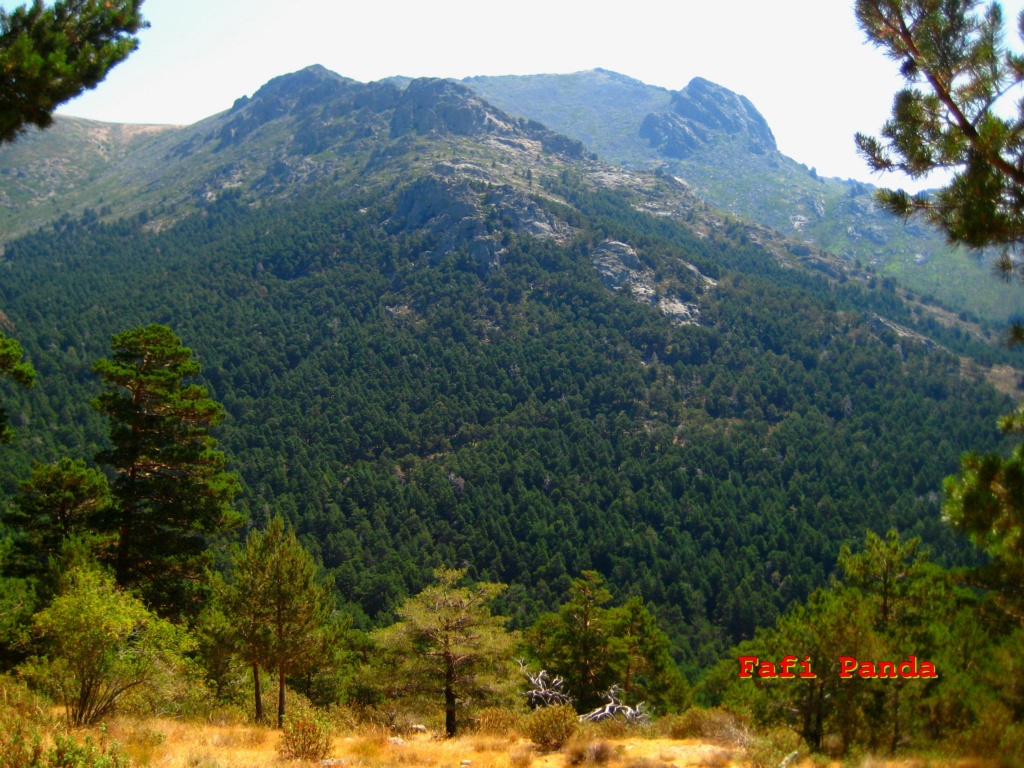 20220716 - LA BARRANCA - Senda de la Tubería 00879