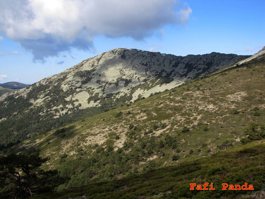 20190502 - LA PINAREJA Y LA PEÑA DEL OSO 00935