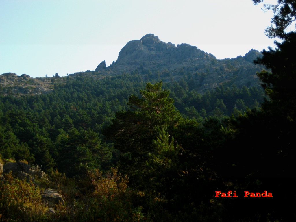 20220714 - LA BARRANCA - Las Buitreras 00991