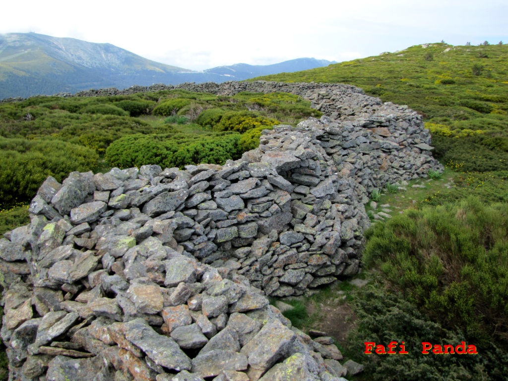 20210605 - PEÑA CÍTORES 01053