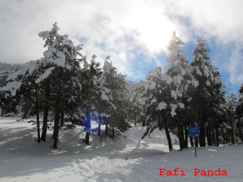 20181101 - CERCEDILLA - CERRO MINGUETE 01116