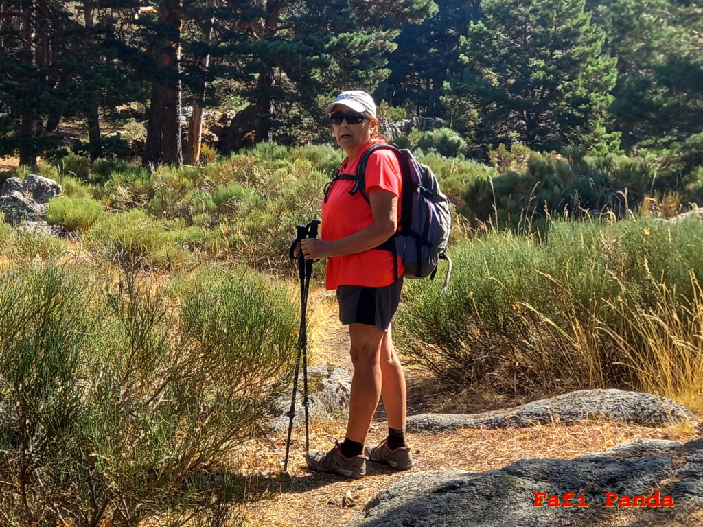 20210828 - NAVALMEDIO - PUERTO DE NAVACERRADA 01160