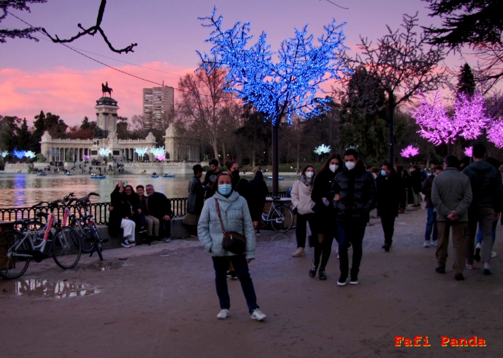 20211227 - NOCTURNAS PARQUE DEL RETIRO (MADRID) 01273