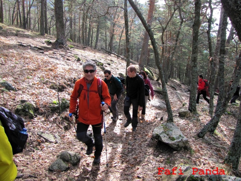 20181222 - CERCEDILLA - NAVARRULAQUE 01926