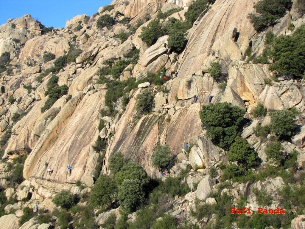 20220115 - LA PEDRIZA, por el sector MUSGOGÉNESIS 01979