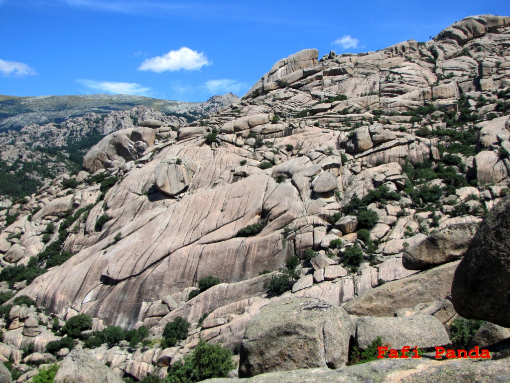 20210619 - LA PEDRIZA desde Manzanares El Real 02055