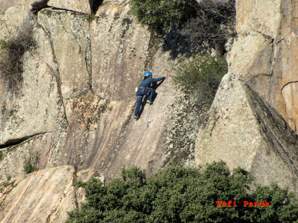 20220115 - LA PEDRIZA, por el sector MUSGOGÉNESIS 02274