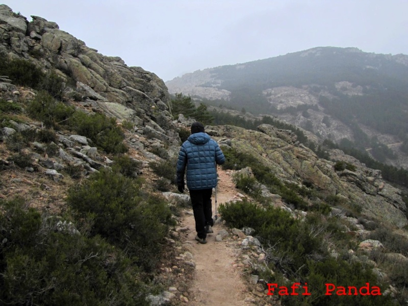 20190119 - LA PEDRIZA - SIERRA DE LOS PORRONES 02324