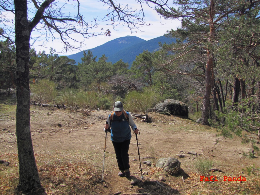 20220301 - CERCEDILLA - NAVARRULAQUE 02371