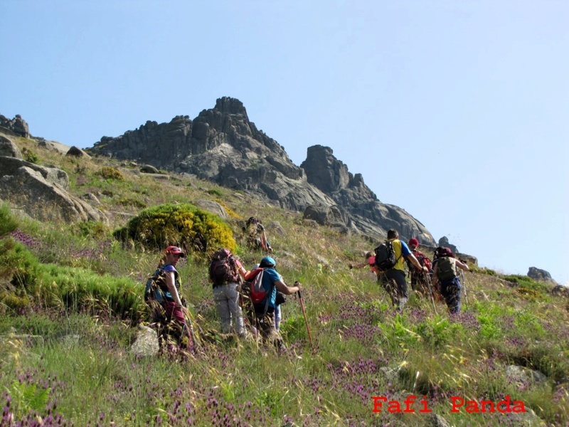 20180623 - CIRCULAR AL PICO ZAPATERO 02410