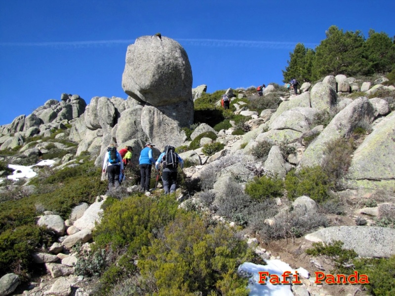 20190216 - LA PEDRIZA - COLLADO DE LOS PASTORES 02626