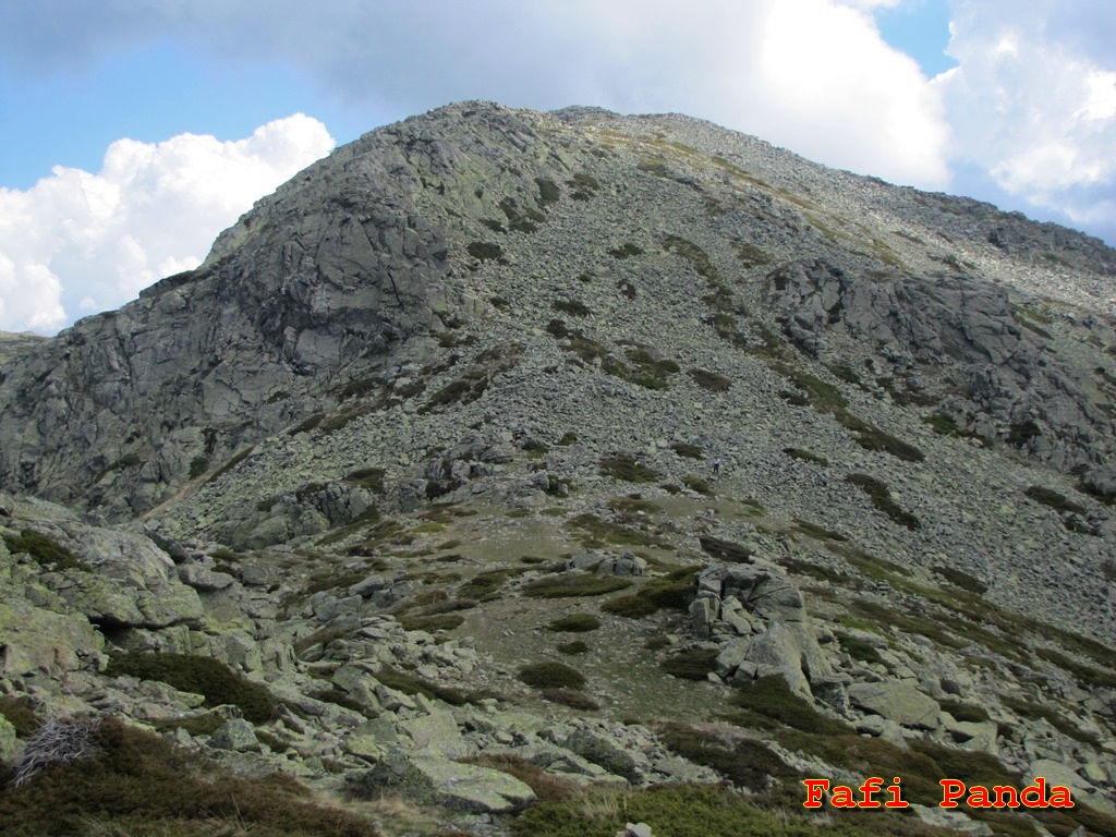 20190502 - LA PINAREJA Y LA PEÑA DEL OSO 02727