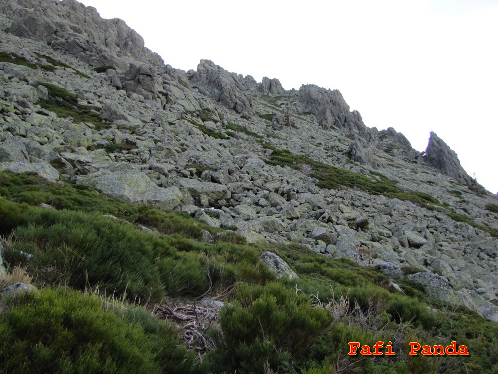 20191214 - PEÑAS DE LA BARRANCA por Las Buitreras 02739