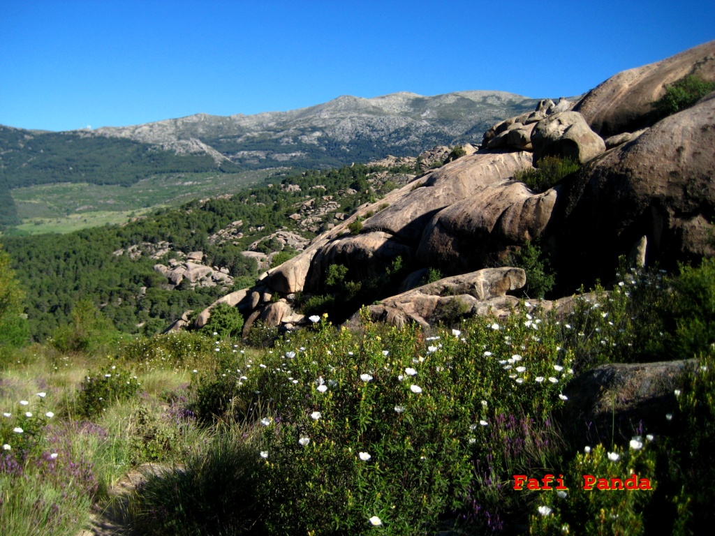 20220527 - LA PEDRIZA - Hueco de las Hoces y Jardín de Peña Sirio 02778