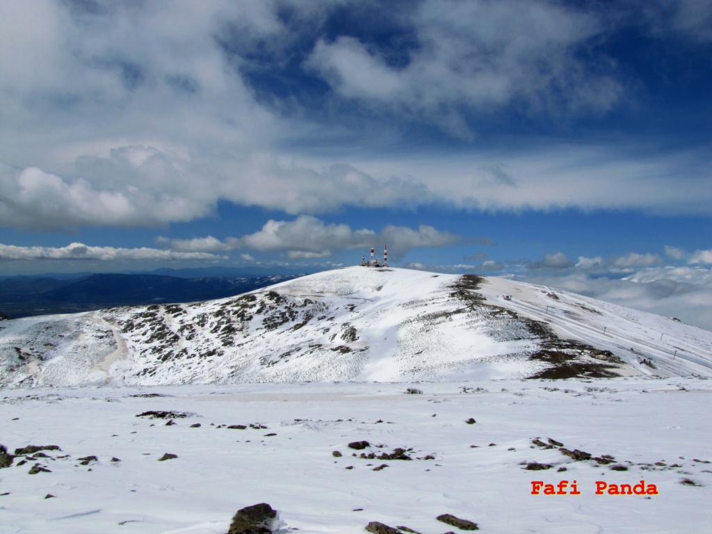 20220421 - PTO. NAVACERRADA - CABEZAS - COTOS 03079