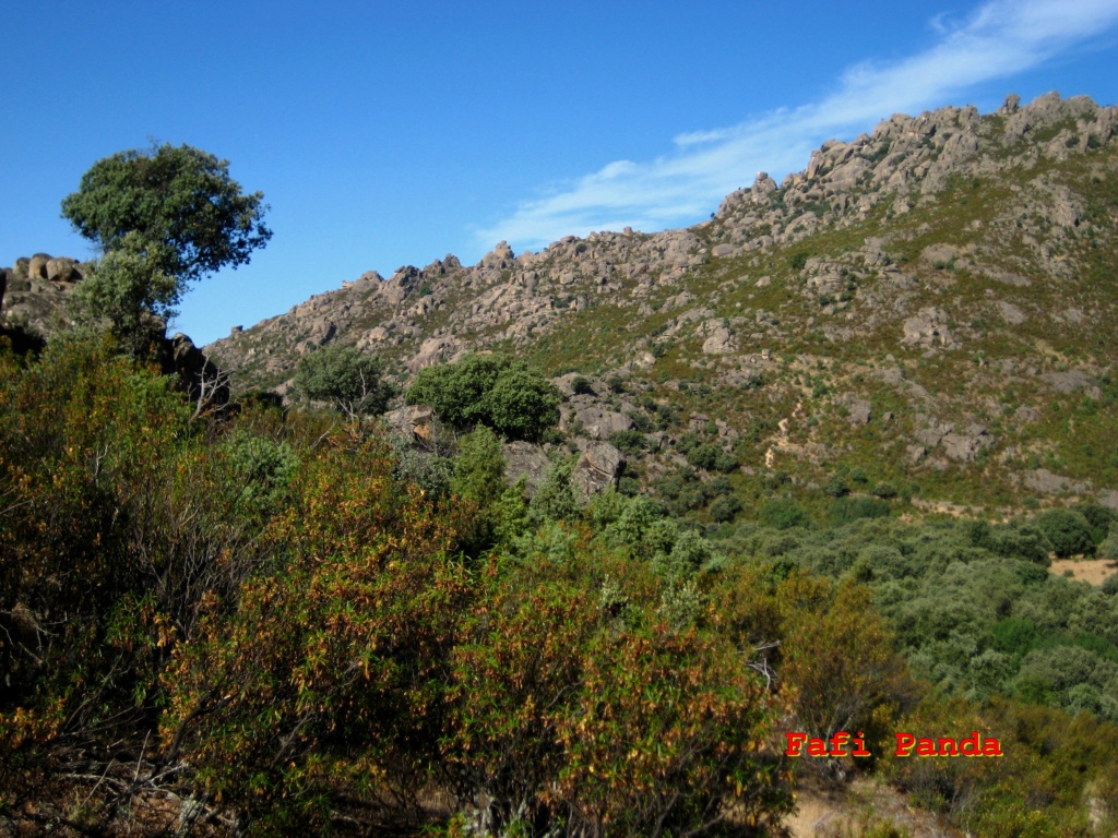 20220621 - CANTO DEL BERRUECO - CUEVA DEL AVE MARÍA 03083