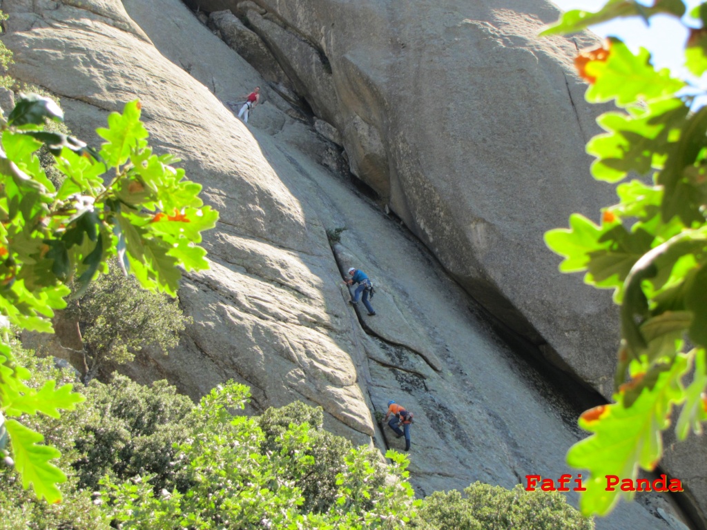 20200802 - LA PEDRIZA - EL PAJARITO 03242