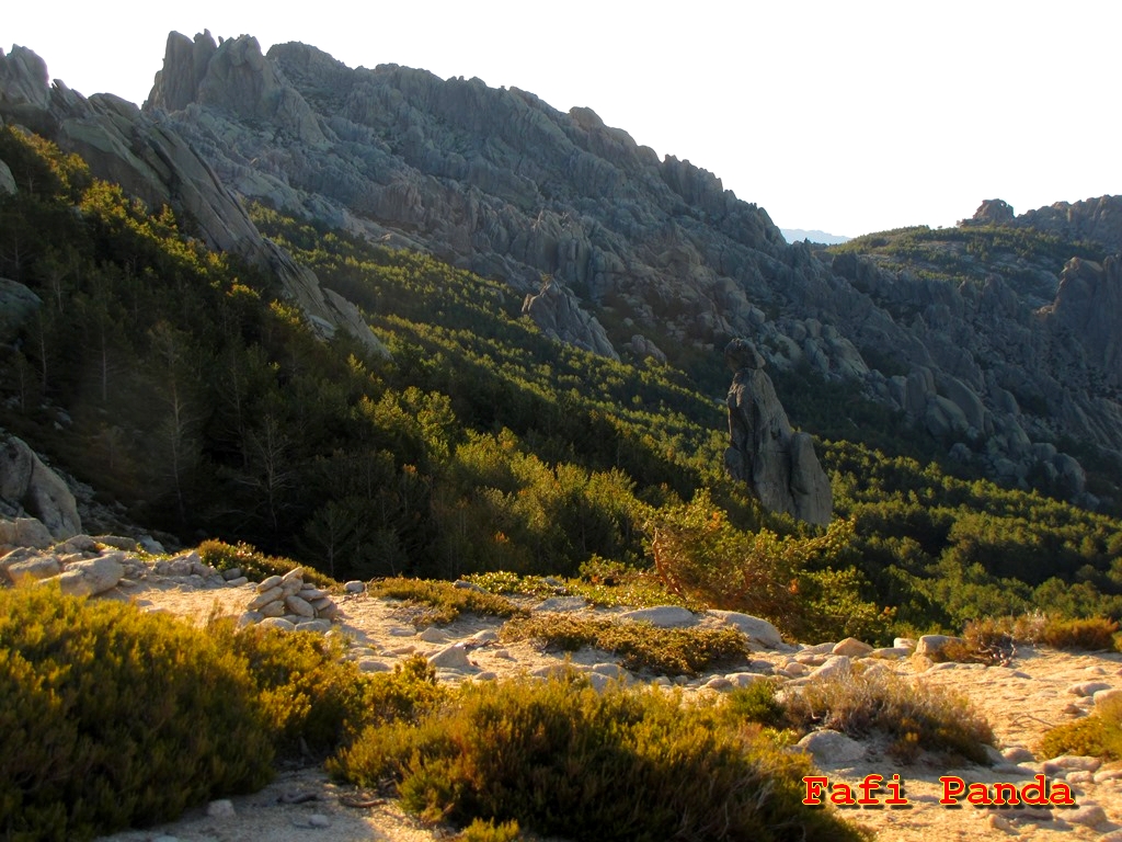 20190501 - LA PEDRIZA - PRADERA DE LA NAVA 03424