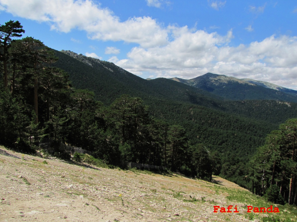 20210807 - CERCEDILLA - PUERTO DE NAVACERRADA 03561