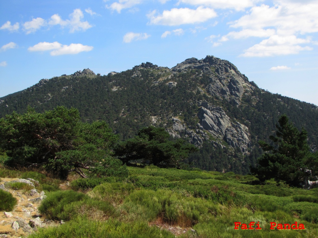 20210904 - MARICHIVA - CERRO MINGUETE - SIETE PICOS 04152