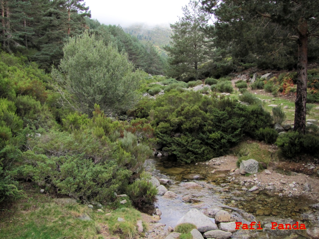 20210925 - PUERTO DE NAVACERRADA - MANZANARES EL REAL 04155