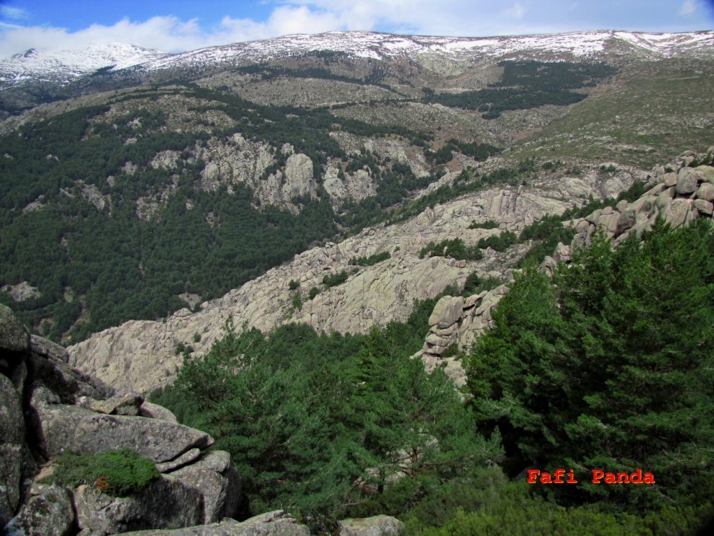 20220411 - LA PEDRIZA - Cuerda de Las Milaneras y Tres Cestos 04655