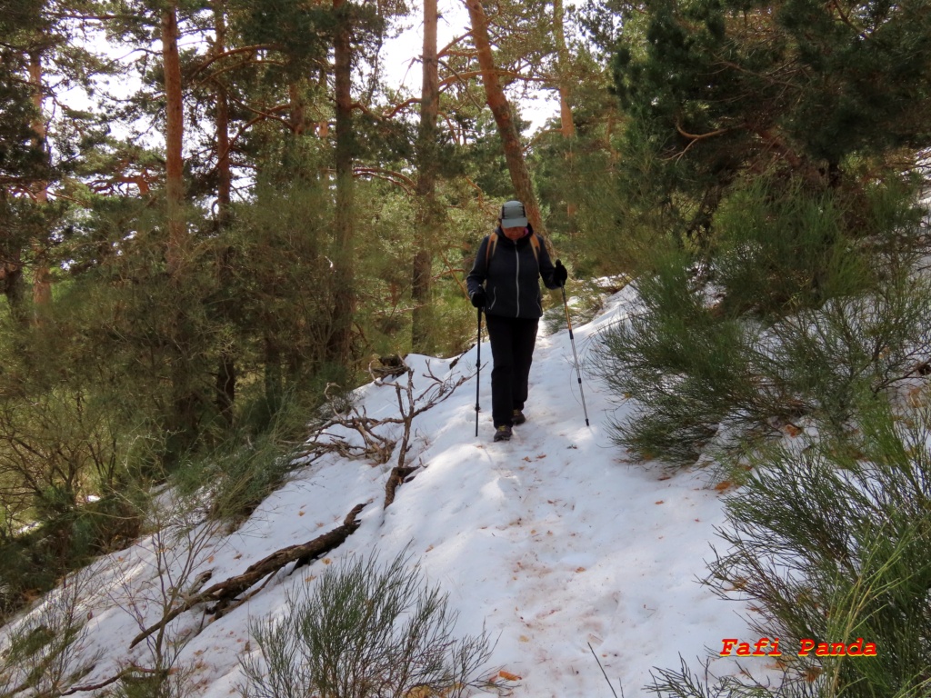 20230218 - CERCEDILLA - CARRETERA DE LA REPÚBLICA 049610