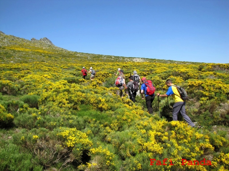 20180623 - CIRCULAR AL PICO ZAPATERO 05210