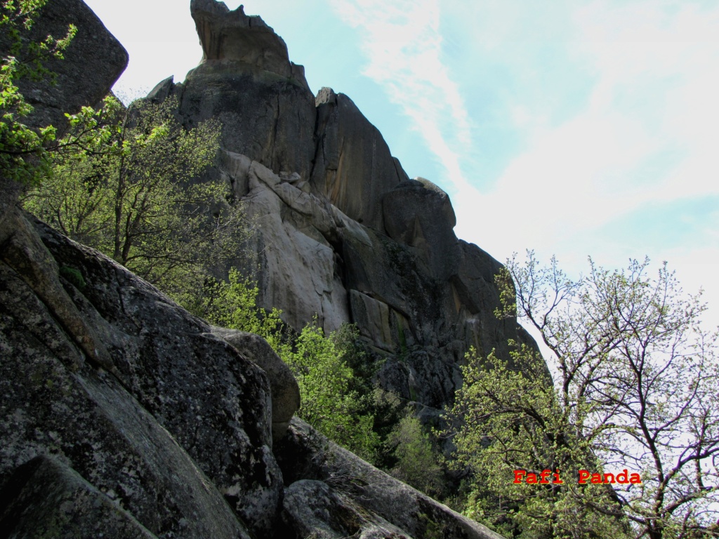 20220512 - LA PEDRIZA - EL PÁJARO Y CANCHO BUITRÓN 05346