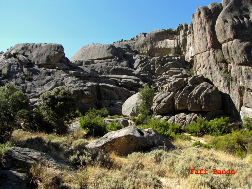 20220823 - AMANECER EN LA PEDRIZA - JARDÍN DE PEÑA SÍRIO 05352