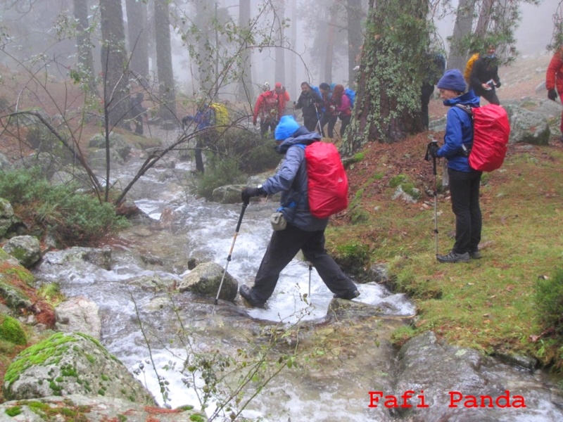 20181117 - CUERDA DE LAS CABRILLAS 05419