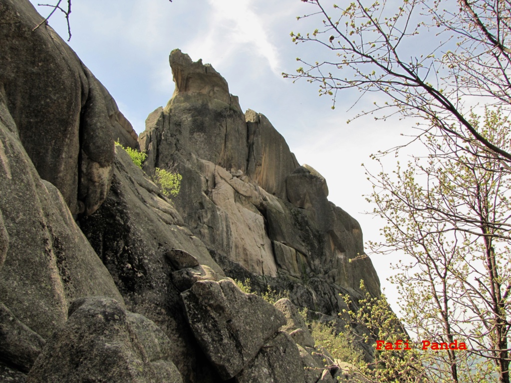 20220512 - LA PEDRIZA - EL PÁJARO Y CANCHO BUITRÓN 05945