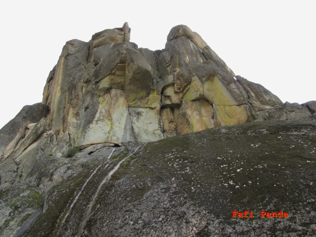 20220512 - LA PEDRIZA - EL PÁJARO Y CANCHO BUITRÓN 06049