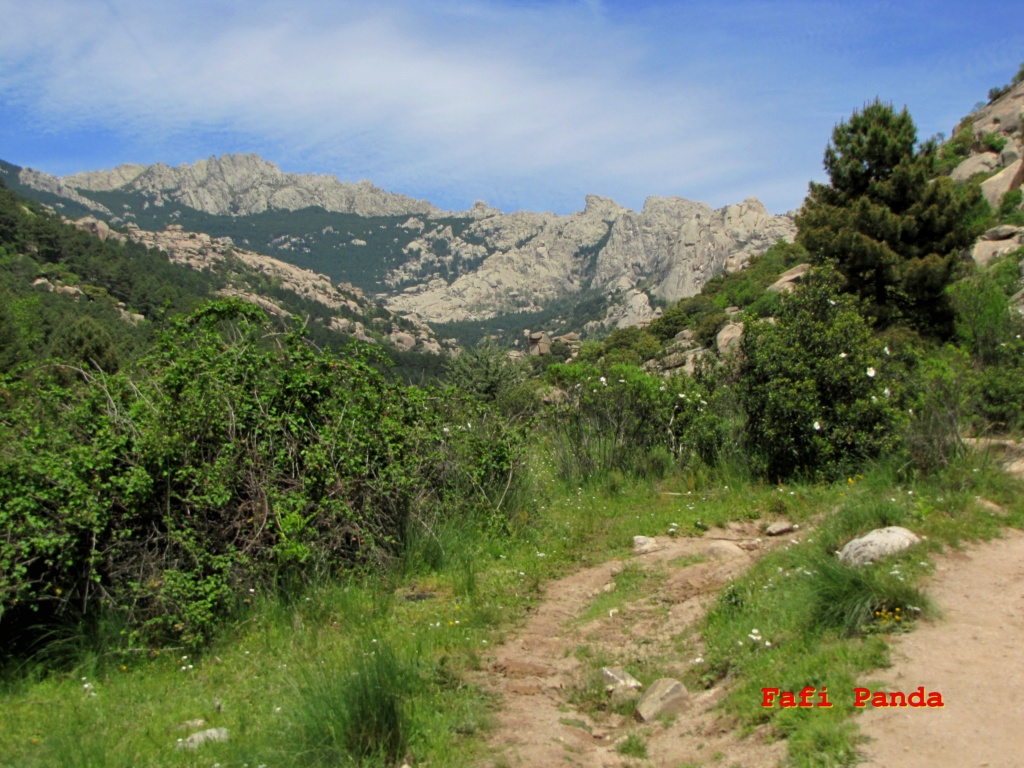 20220512 - LA PEDRIZA - EL PÁJARO Y CANCHO BUITRÓN 08822