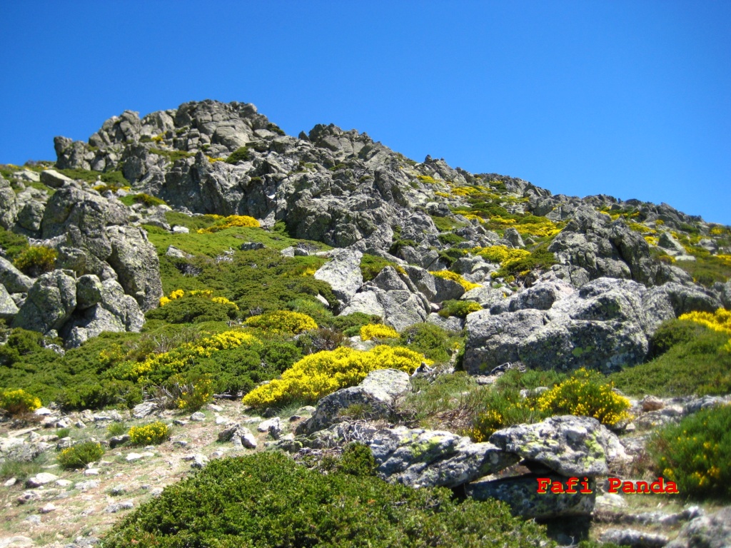 20220601 - LA BARRANCA - CUERDA DE LAS BUITRERAS 10419