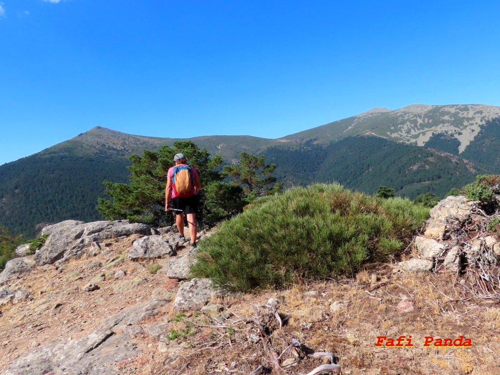 20230812 - CERRO DE LA CAMORCA 222510