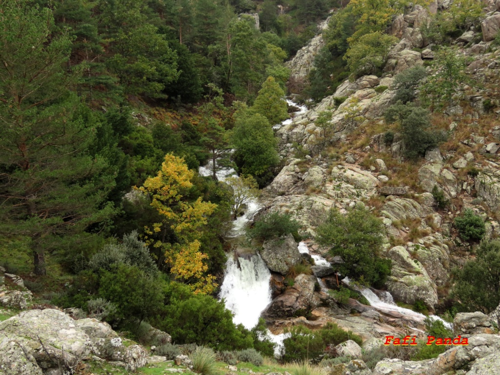 20231101 - LA PEDRIZA - Por el Arroyo de los Hoyos 315310