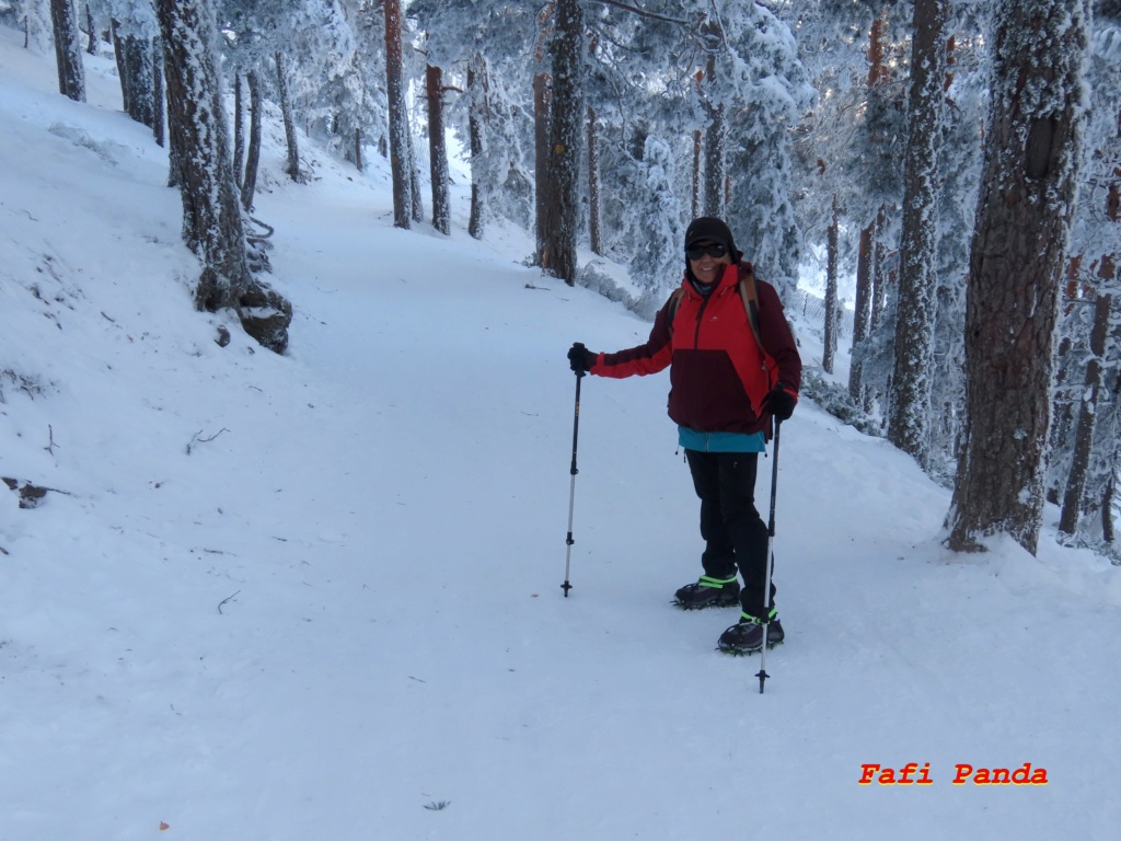 20240108 - PUERTO DE NAVACERRADA - CAMINO SCHMIDT 459210