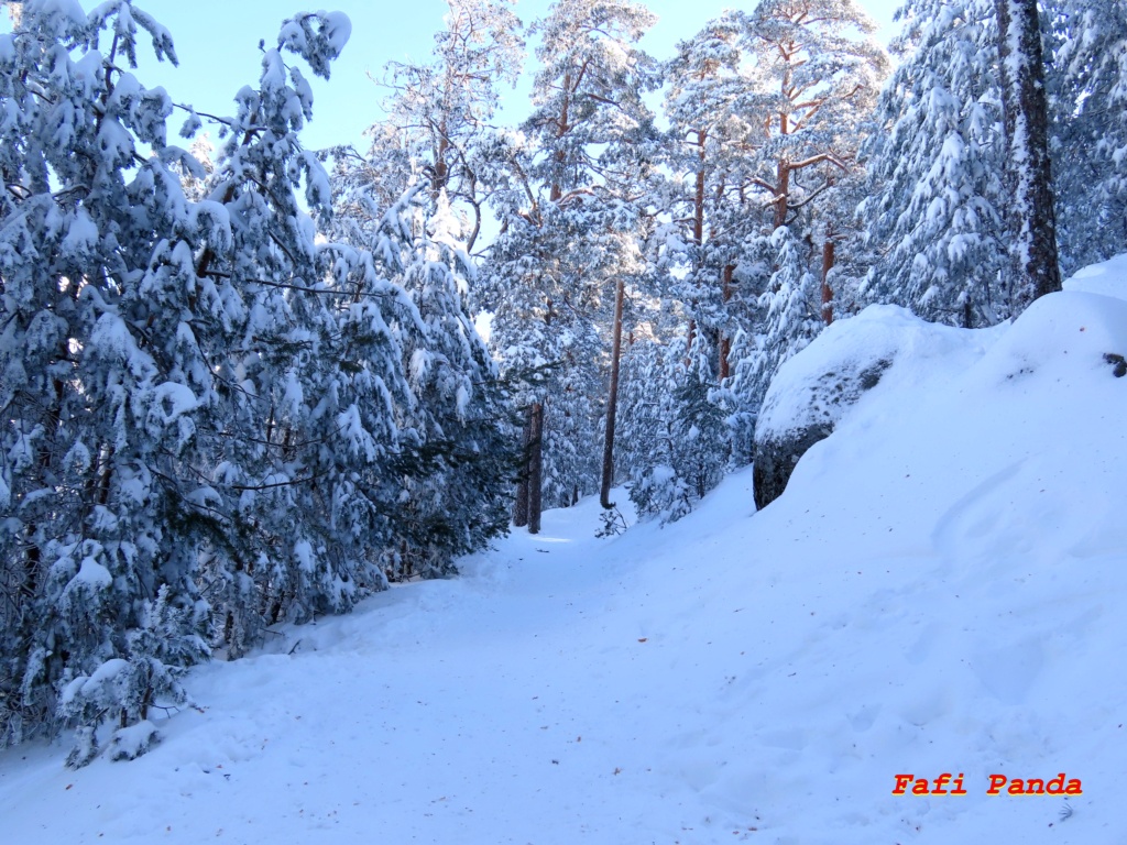 20240312 - OTRO DÍA GENIAL EN LA NIEVE 590210