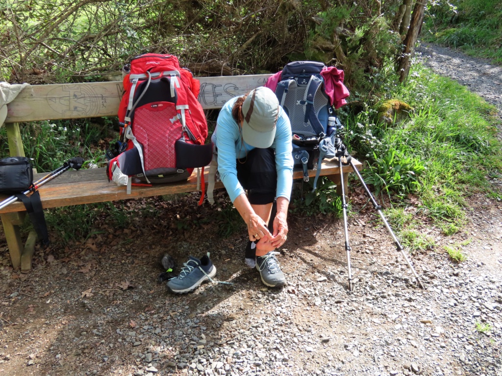 20240401 - CAMINO PRIMITIVO desde Oviedo hasta Santiago de Compostela. 320 kms en 14 días. 650110